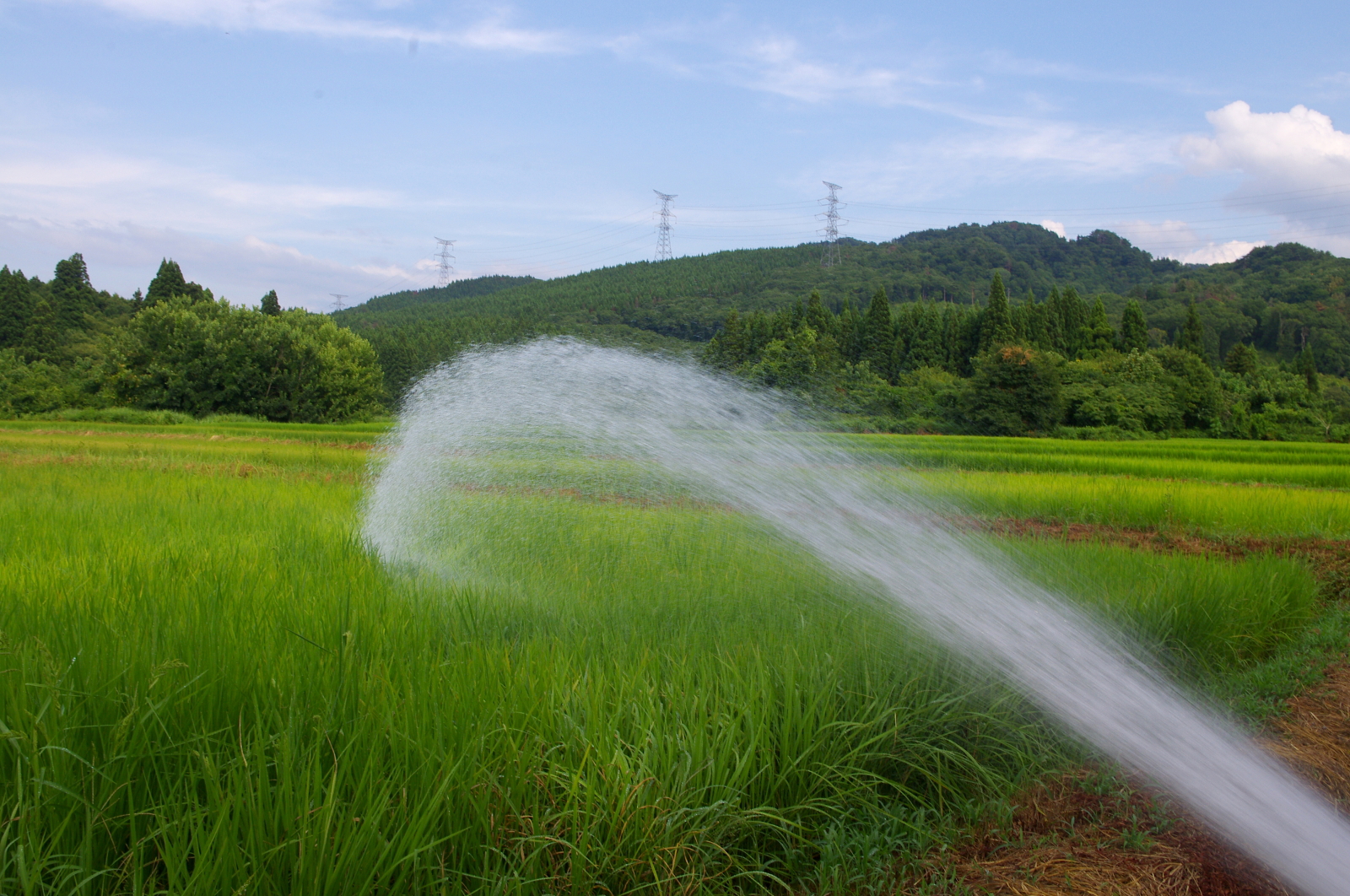 給水車で水撒き