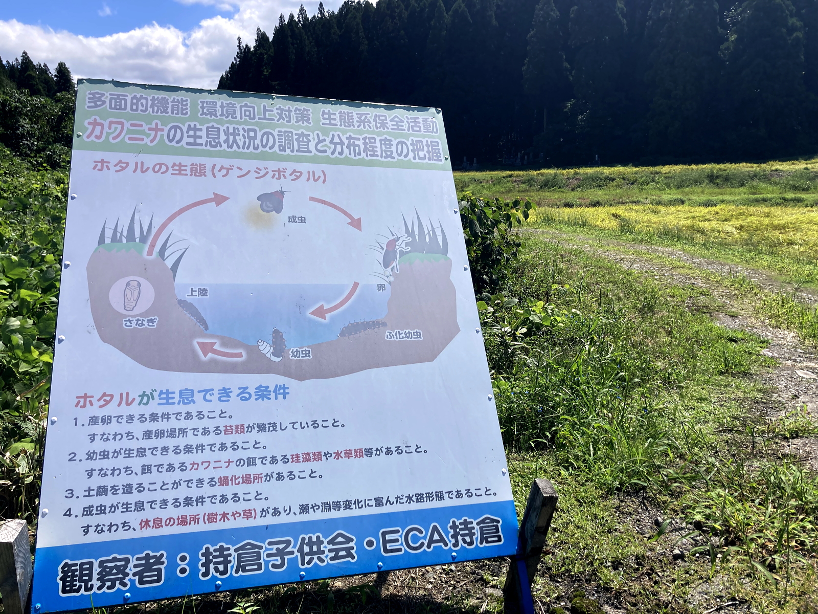 稔の秋を迎えています