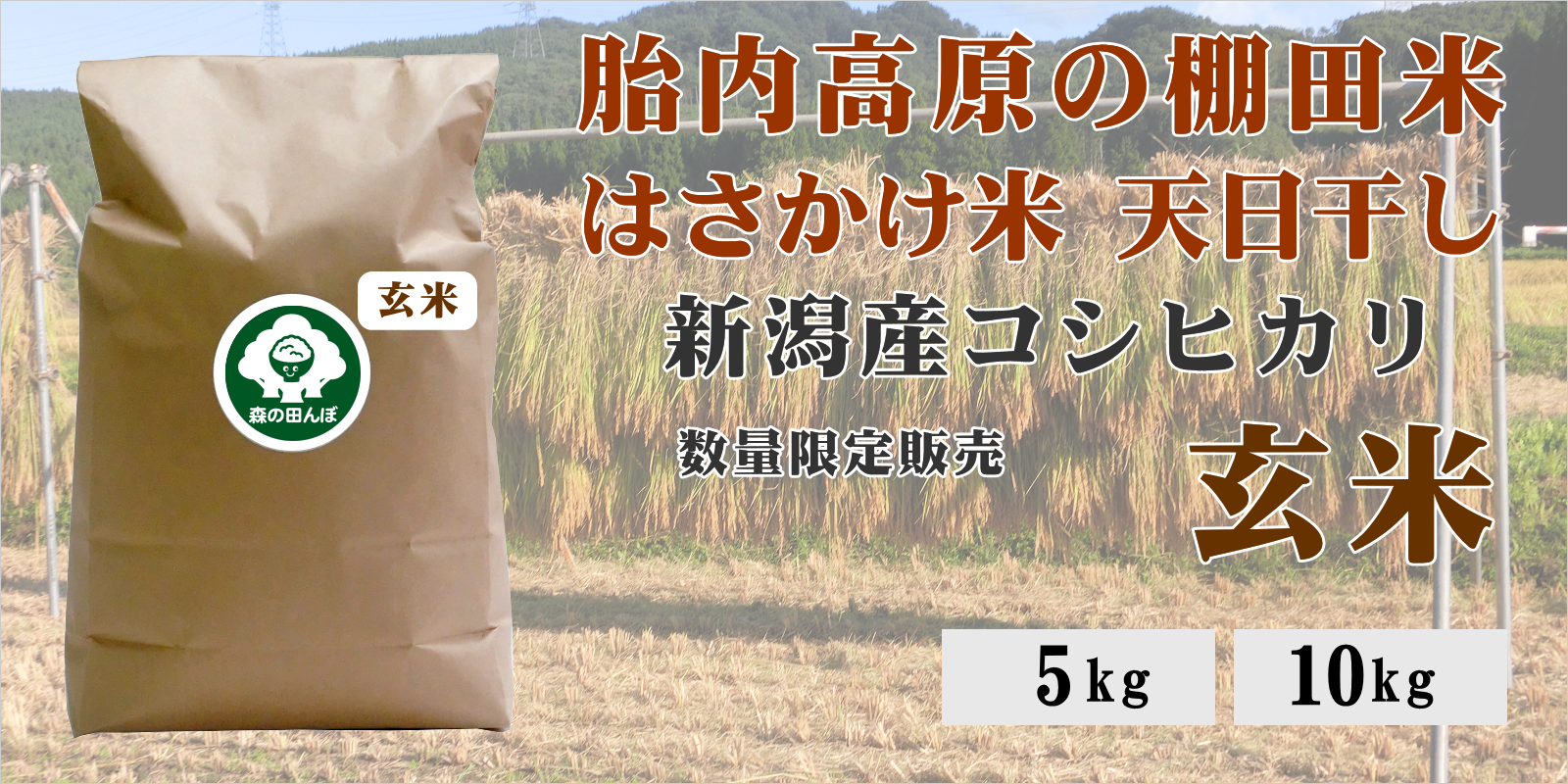 胎内高原の棚田米 はさかけ米 天日干し 新潟産コシヒカリ 限定販売 玄米