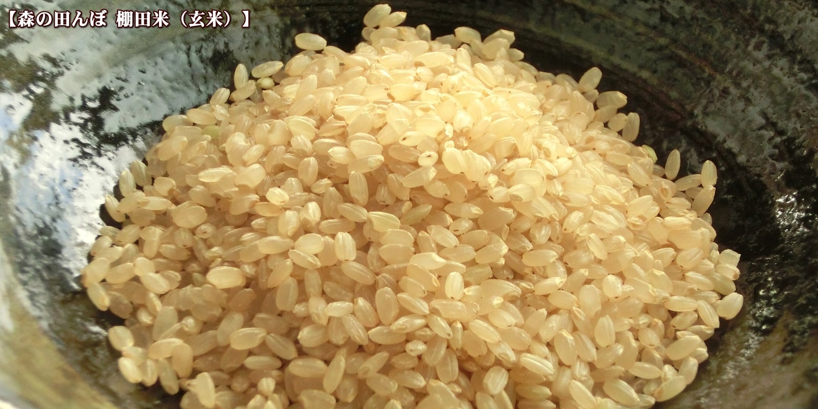 色彩選別機にかけて、選別した玄米をお届けいたします。