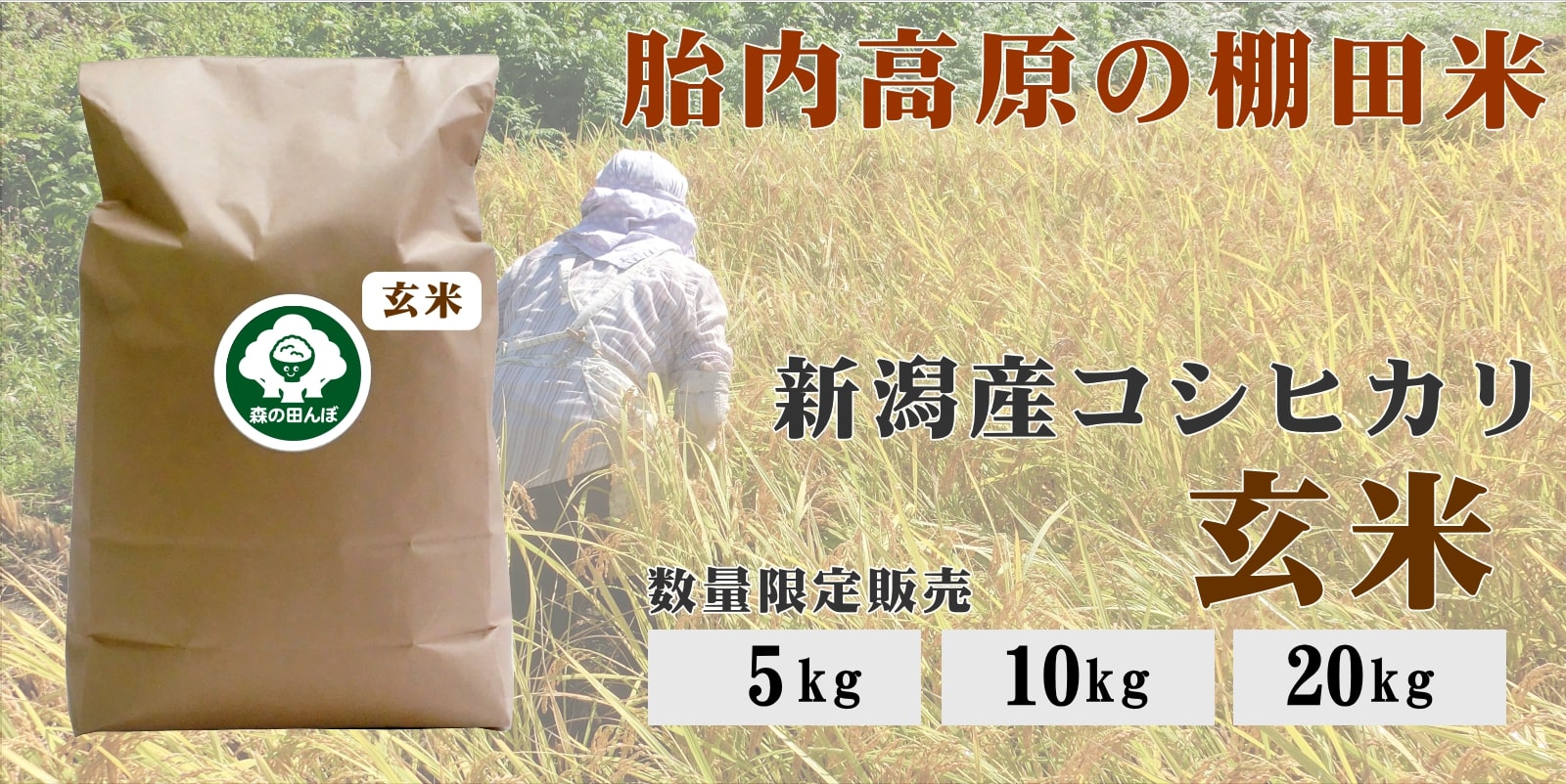 胎内高原の棚田米（玄米）