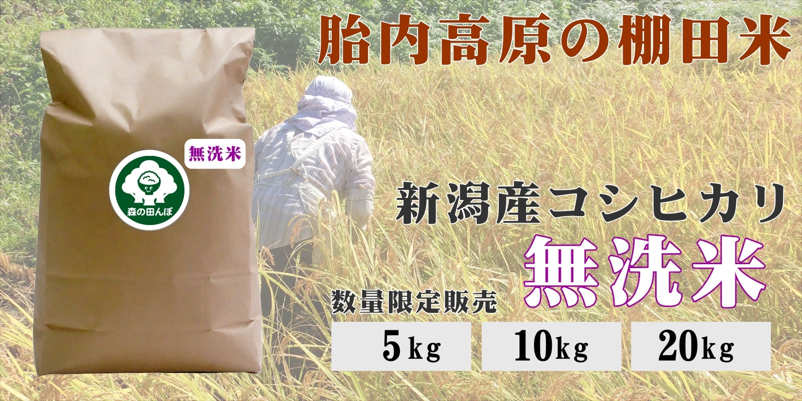 胎内高原の棚田米（無洗米）
