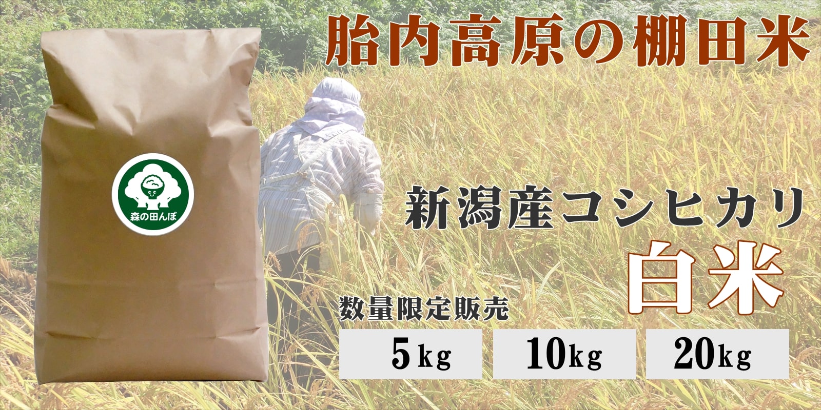 胎内高原の棚田米（白米）
